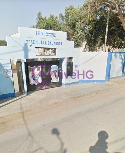VENTA DE TERRENO DE 6435 M2 CERCA AL HOSPITAL REGIONAL DE ICA, foto 4
