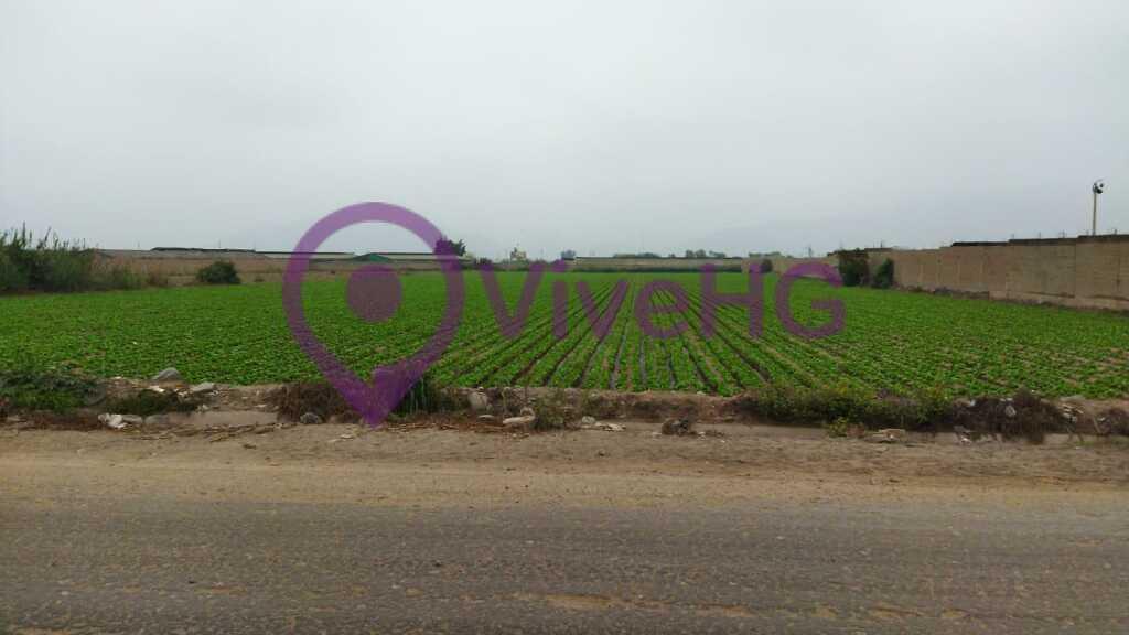 Terreno Agricola en Aucallama Huaral, foto 3