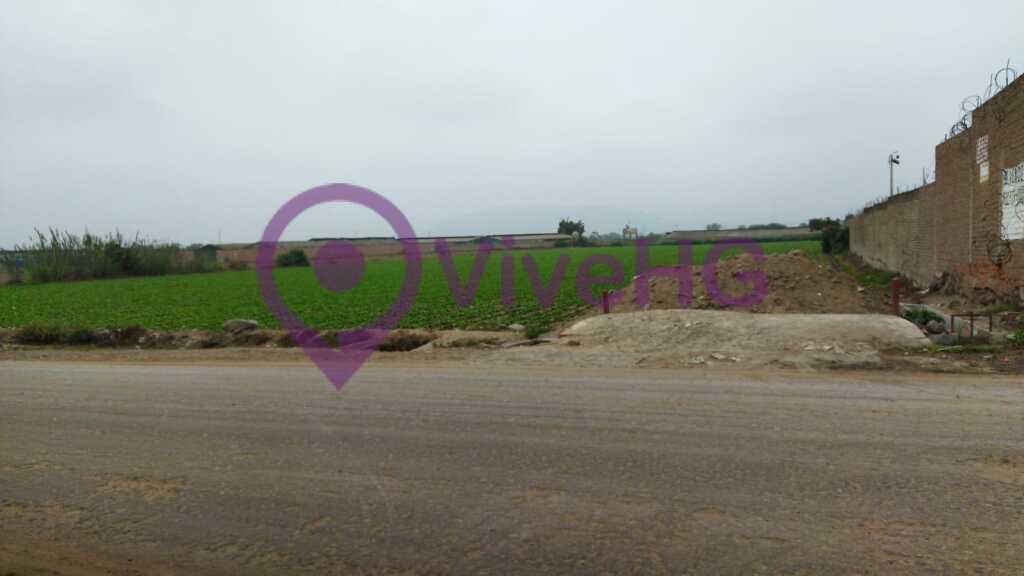 Terreno Agricola en Aucallama Huaral, foto 4
