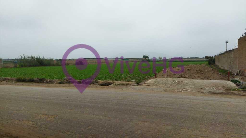 Terreno Agricola en Aucallama Huaral, foto 5