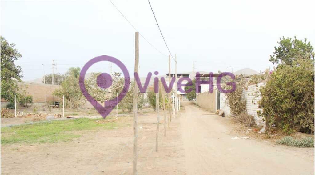 Terreno Urbano en Pachacamac, foto 4