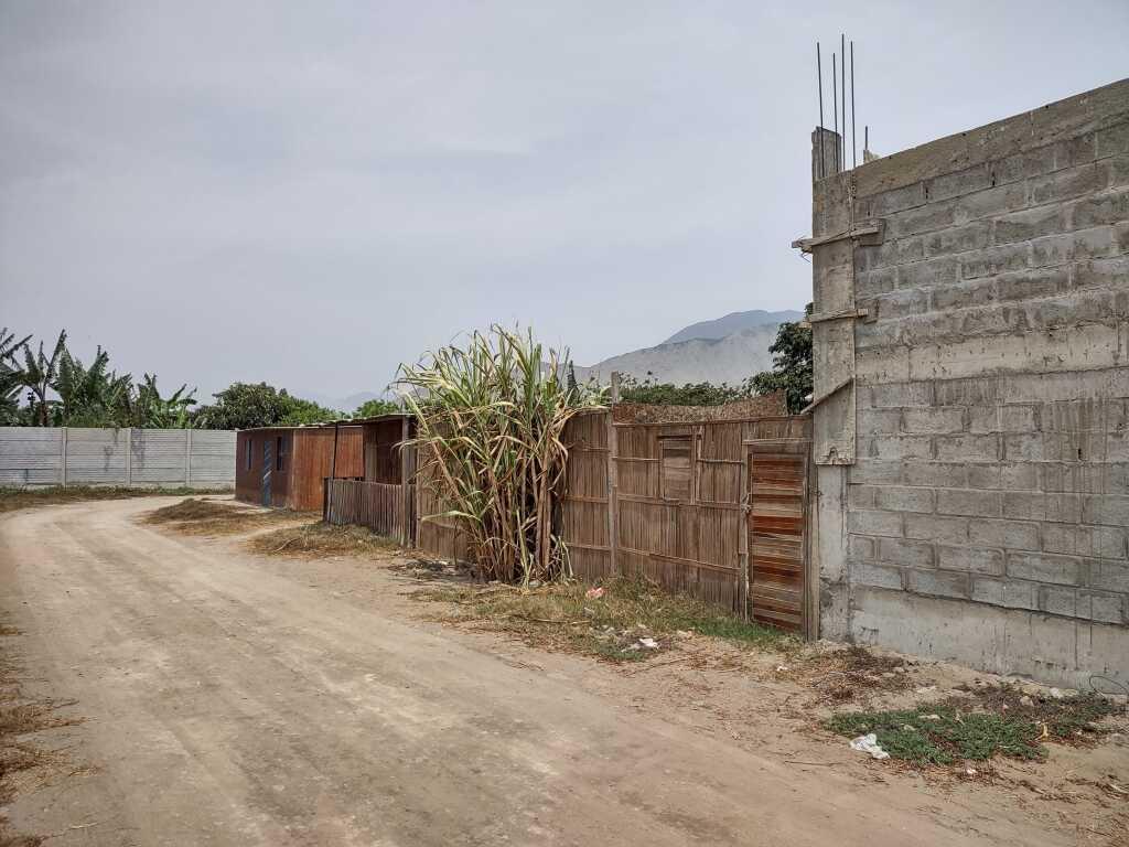 Terreno en el Valle de Pachacamac, foto 11