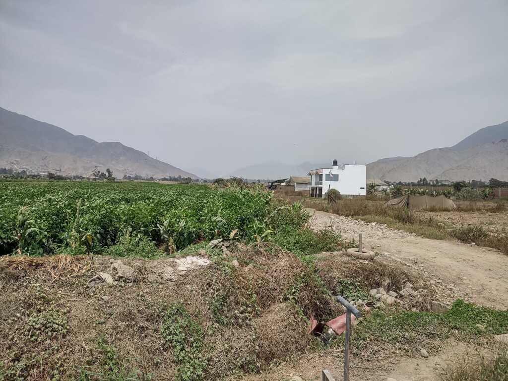 Terreno en el Valle de Pachacamac, foto 12