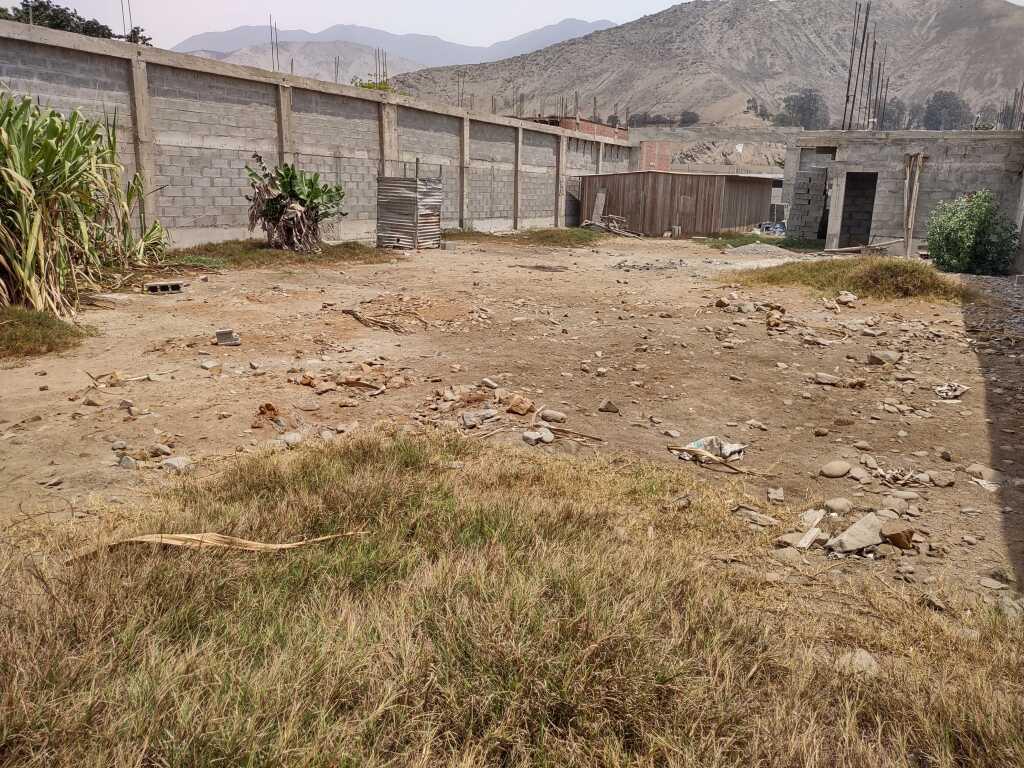 Terreno en el Valle de Pachacamac, foto 9