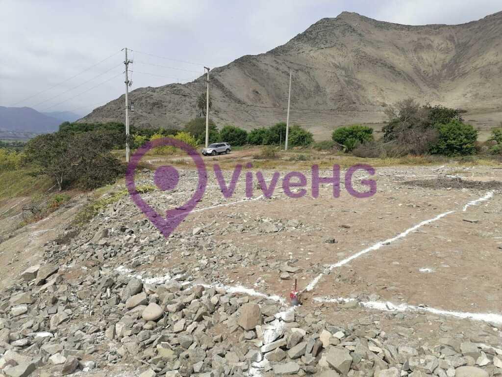 Condominio Altavista, foto 11