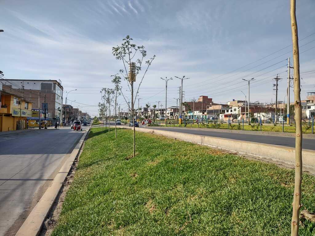Terreno Comercial en Villa el Salvador, foto 3