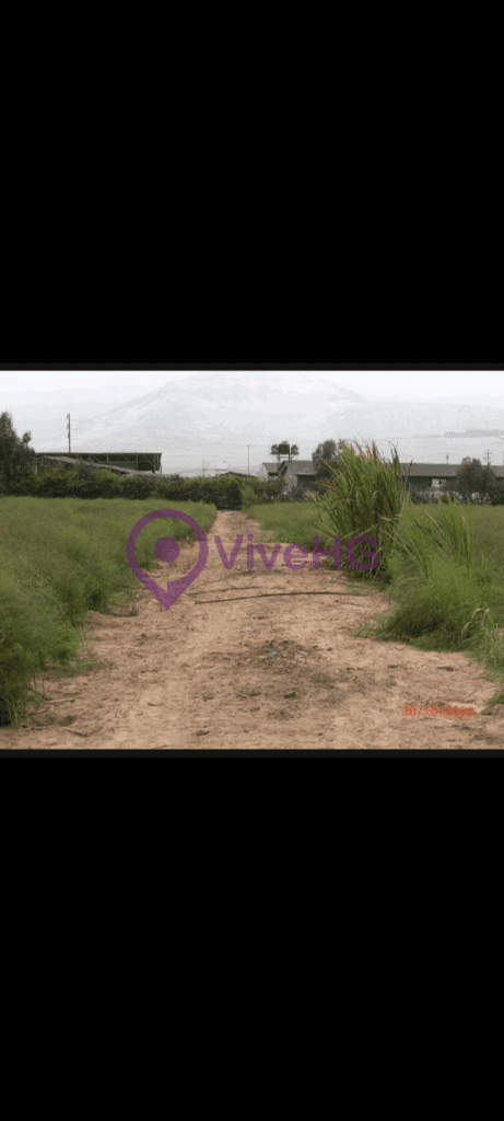 Vendo 70,900 mts² en la campiña de Moche, foto 2