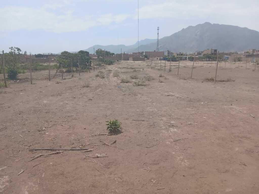 Hermoso terreno cerca de la Plaza de Armas de Virú, foto 1