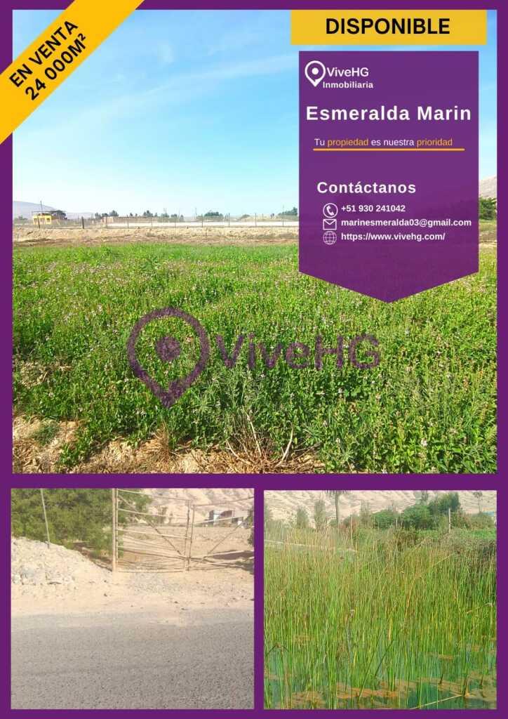 SE VENDE 24000m2 PARA PROYECTO, foto 1