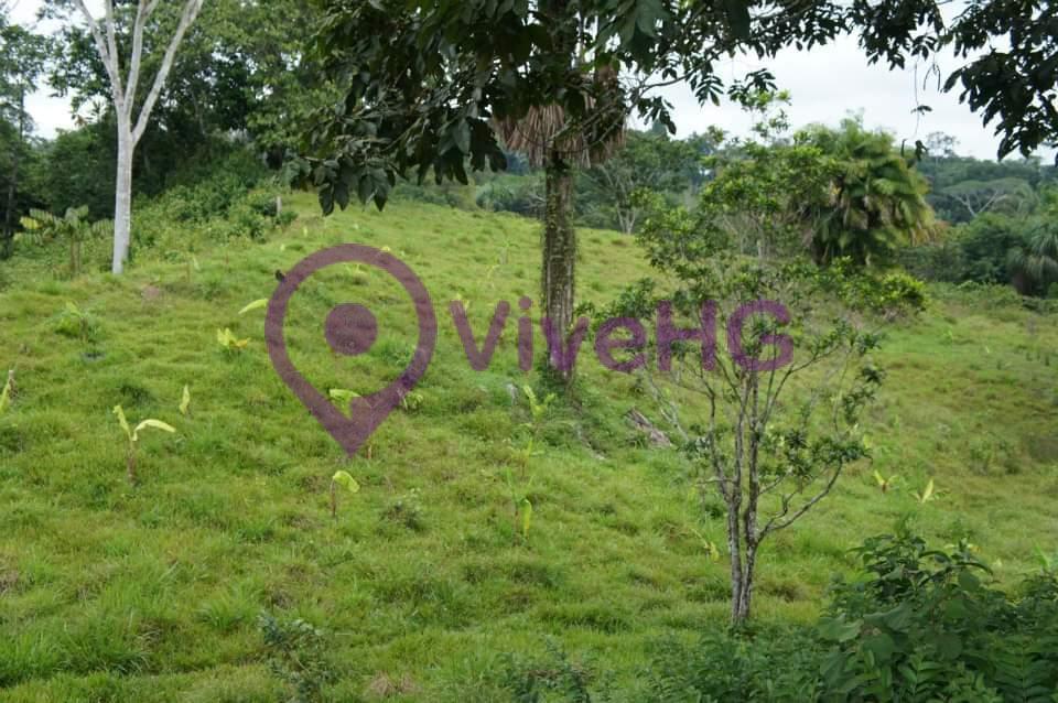 Venta de Terreno en Iquitos – Loreto, foto 2