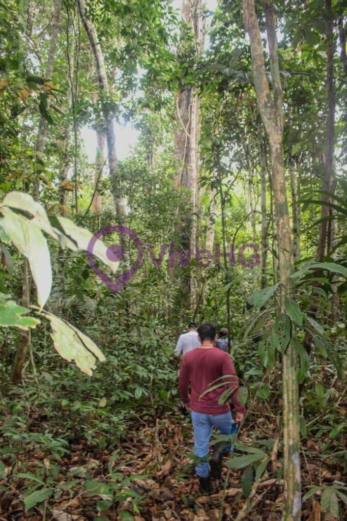 Venta de Terreno en Iquitos – Loreto, foto 3