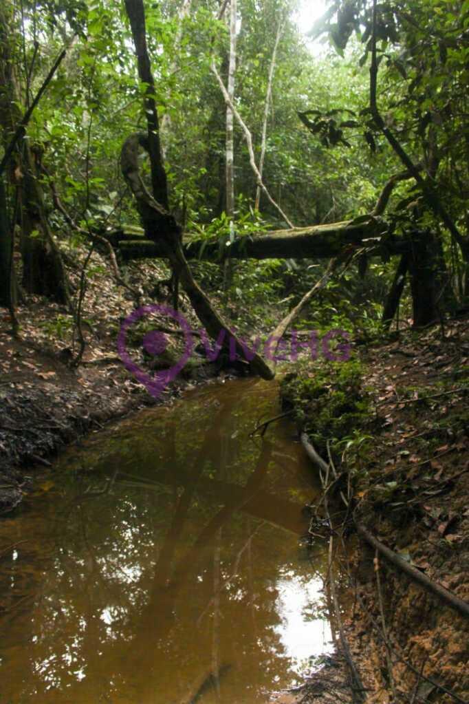 Venta de Terreno en Iquitos – Loreto, foto 4