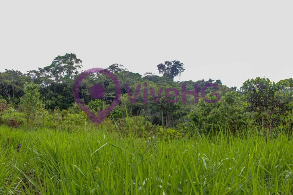 Venta de Terreno en Iquitos – Loreto, foto 7