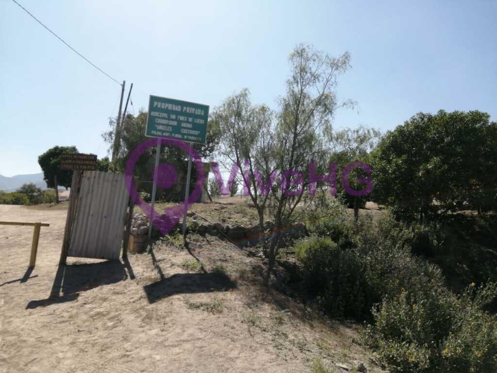 Terrenos de 200 m2, foto 6