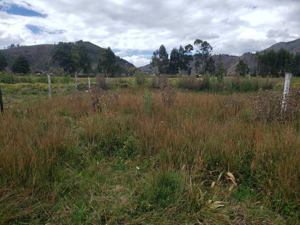 Venta de Lote de terreno de 132 m2, foto 10