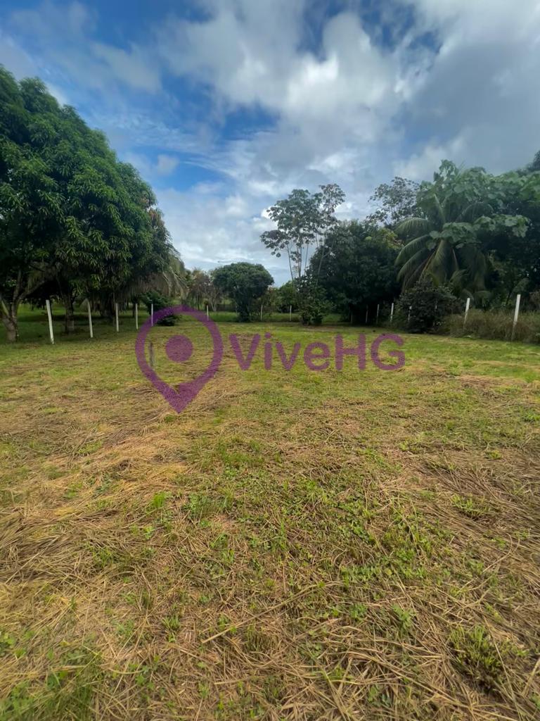 OCASIÓN VENTA DE TERRENO DE 800 M2 A 80 METROS DEL PARQUE TRIANGULAR DE SAN  JOSE . Y A 6 CUADRAS DEL BALNEARIO TURISTICO DE SAN JOSE, A TAN SOLO 35 MIL DOLARES NEGOCIABLES., foto 1
