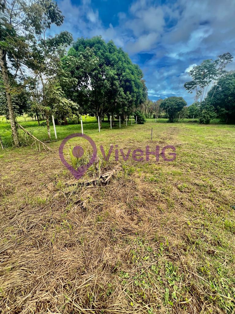OCASIÓN VENTA DE TERRENO DE 800 M2 A 80 METROS DEL PARQUE TRIANGULAR DE SAN  JOSE . Y A 6 CUADRAS DEL BALNEARIO TURISTICO DE SAN JOSE, A TAN SOLO 35 MIL DOLARES NEGOCIABLES., foto 3