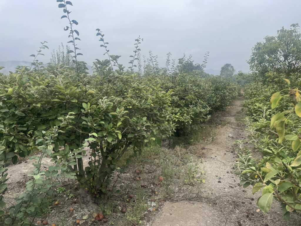 VENTA DE TERRENO EN MALA – SAN ANTONIO, foto 1