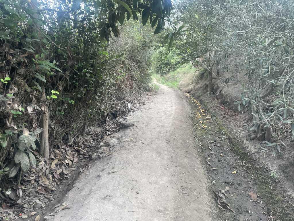 VENTA DE TERRENO EN MALA – SAN ANTONIO, foto 2
