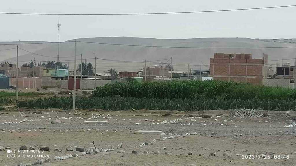 🏞️🌟 ¡REMATE de Últimos Lotes en Leguía, Tacna! a solo 10 minutos del centro cívico! 🌟🌳, foto 7