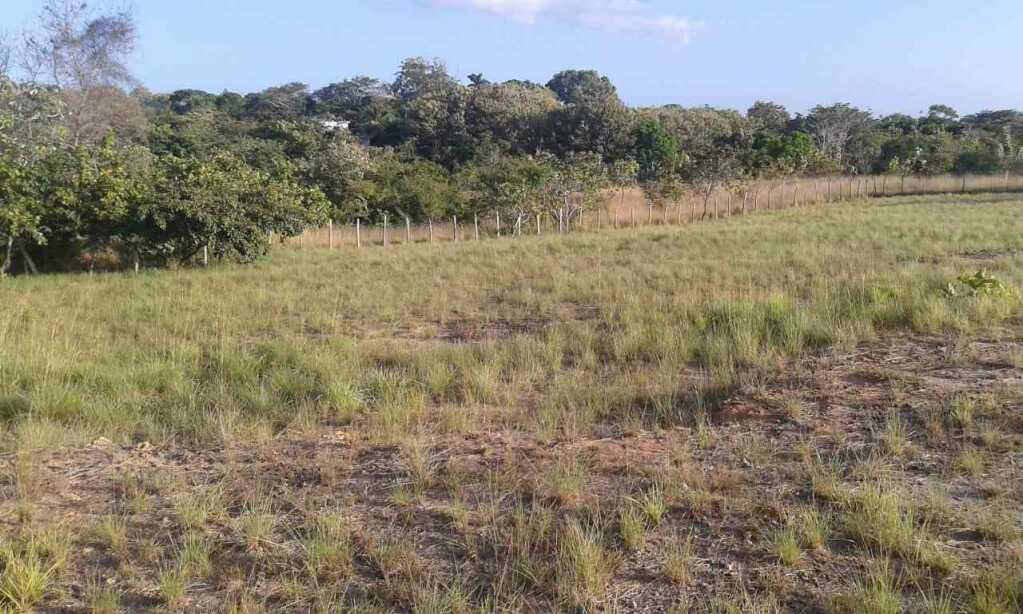 TERRENO DE PLAYA, foto 1