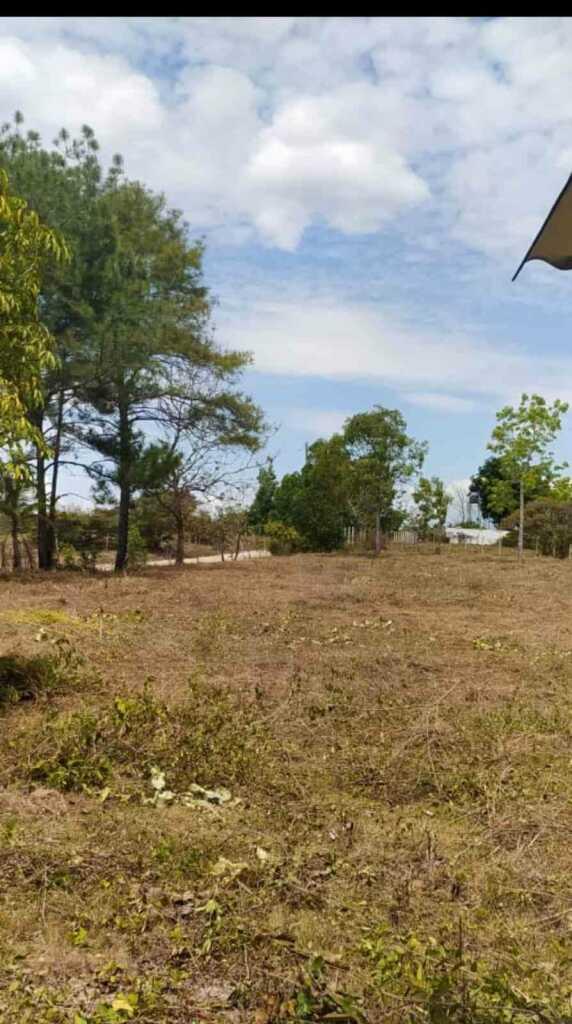 TERRENO DE PLAYA, foto 4