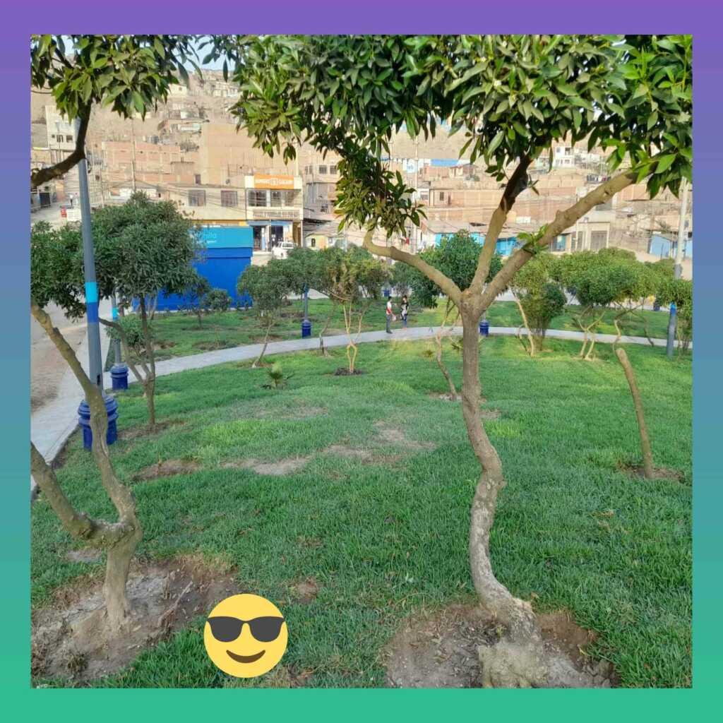 😎 terreno 120 m2 en venta avenida 🏠, foto 2