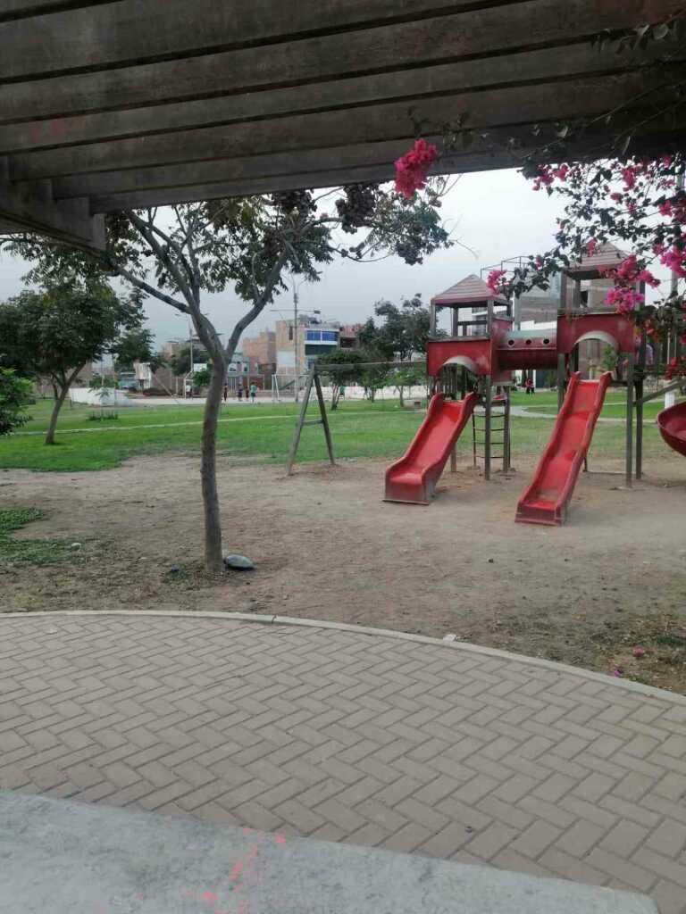 VENTA DE LOTE EN CARABAYLLO, foto 5