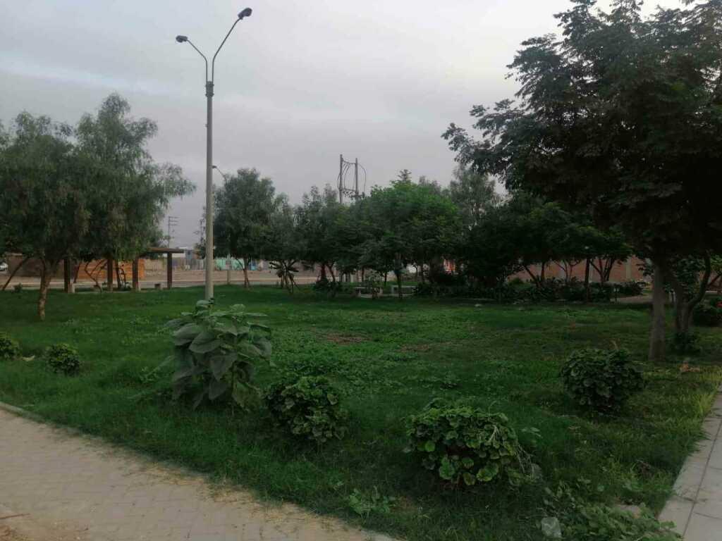 VENTA DE LOTE EN CARABAYLLO, foto 6
