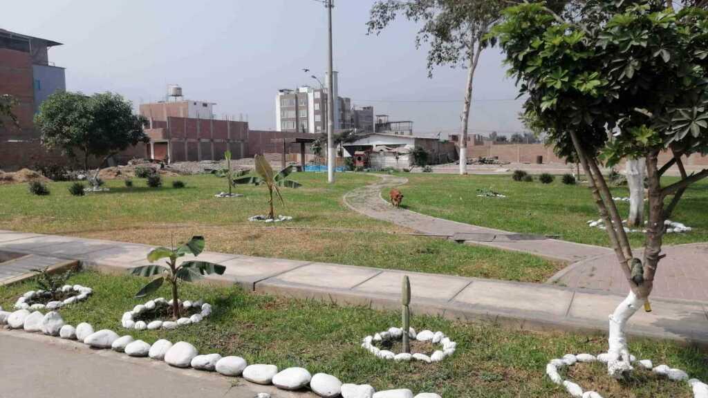 LOTE EN VENTA/ CARABAYLLO/ OCASIÓN, foto 5
