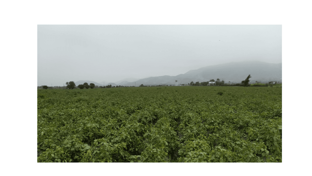 TERRENO EN VENTA 3 Has.( 30,000m2) AUCALLAMA , HUARAL, foto 1