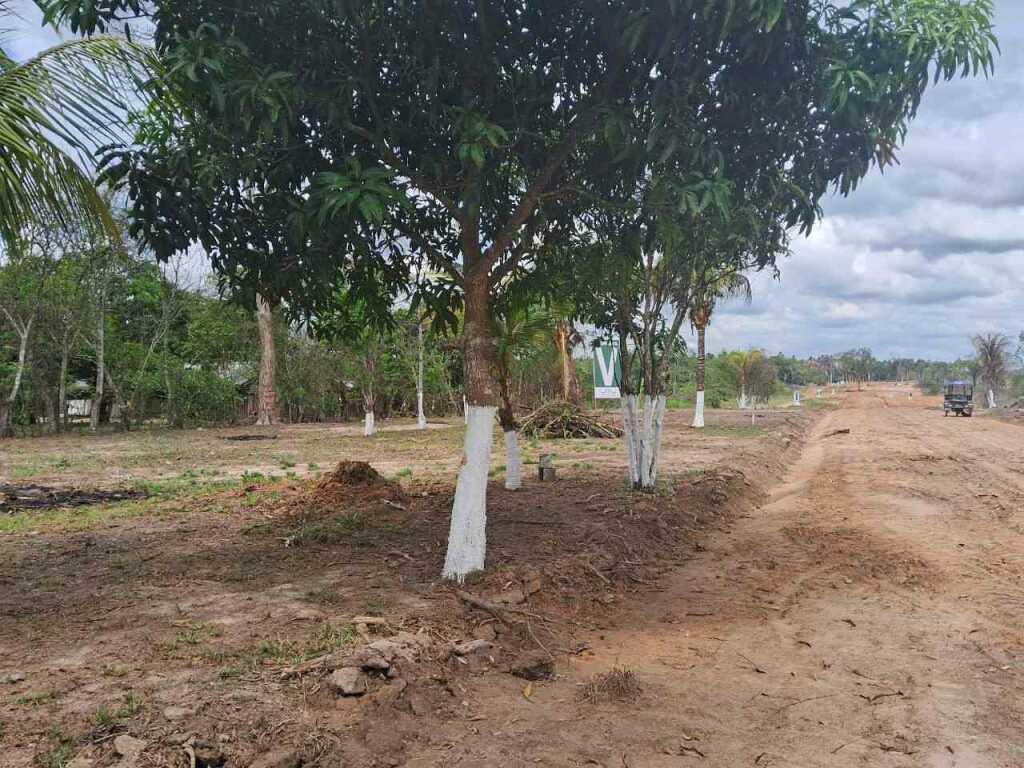 TERRENOS EN VENTA, foto 2