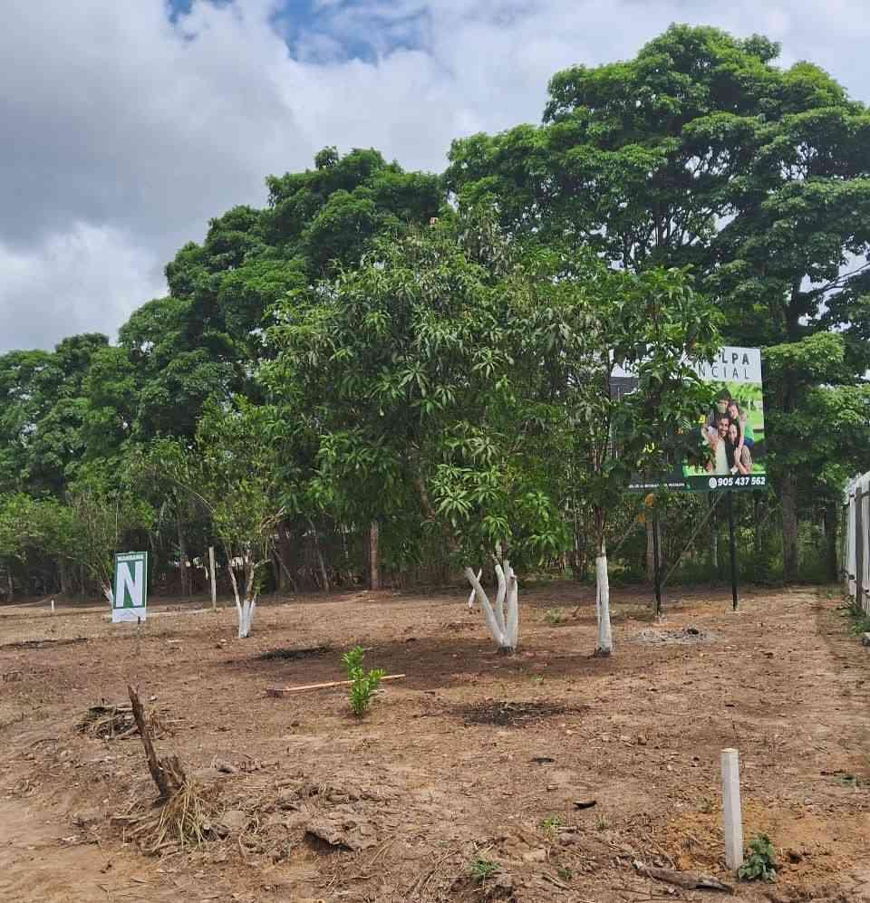 TERRENOS EN VENTA, foto 4
