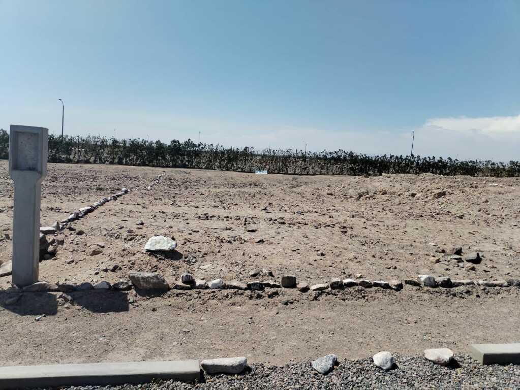TERRENO EN LA JOYA-AREQUIPA, foto 1