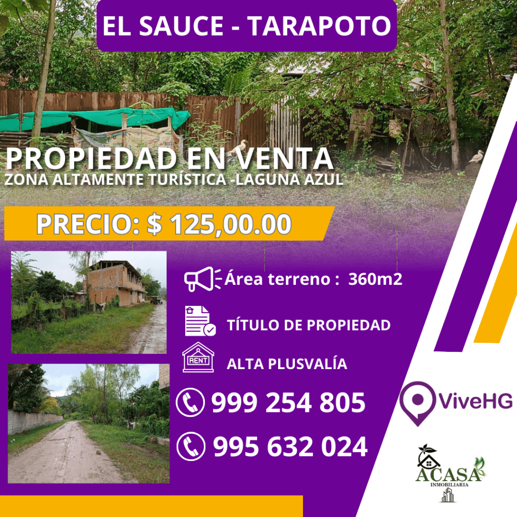 TERRENO EN VENTA SAUCE – SAN MARTIN, foto 1