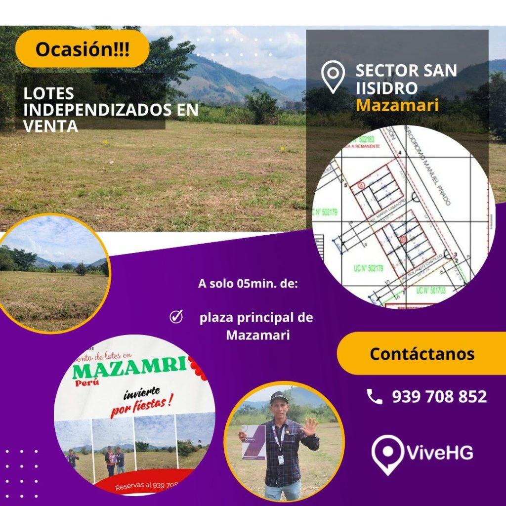 LOTES EN VENTA SAN ISIDRO- MAZAMARI, foto 1