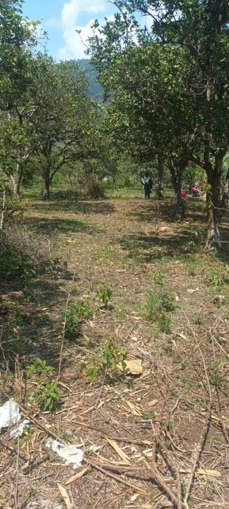 VENTA DE LOTES EN MAZAMARI EN LA URBANIZACION LOS ALAMOS II, foto 1