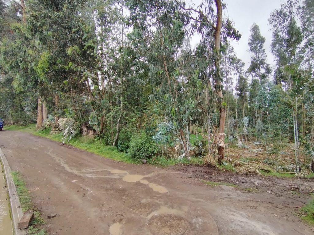TERRENO EN SAPALLANGA – HUANCAYO, foto 1