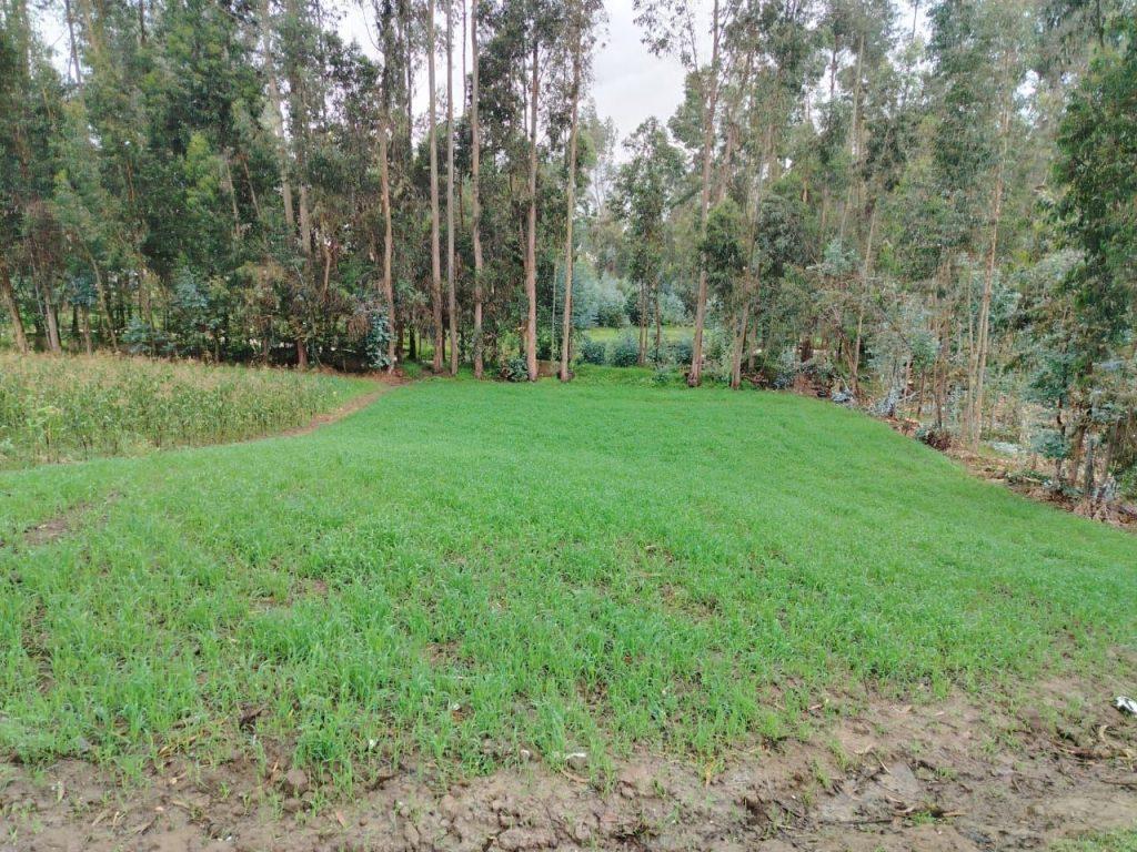TERRENO EN SAPALLANGA – HUANCAYO, foto 3