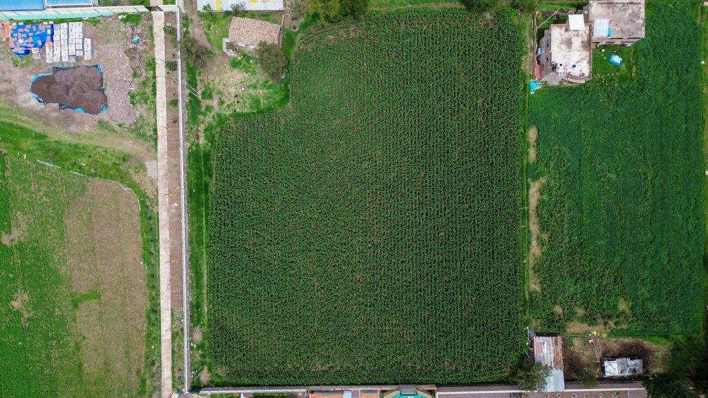 🏡🏡HERMOSO TERRENO EN VENTA CALCA VALLE SAGRADO DE LOS INCAS 🏡CUSCO, foto 1