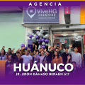 ViveHG Premiere