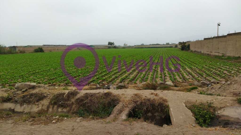 Terreno Agricola en Aucallama Huaral