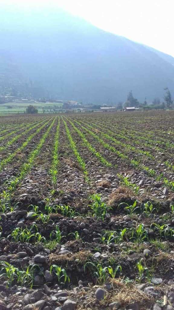 SE VENDE TERRENO