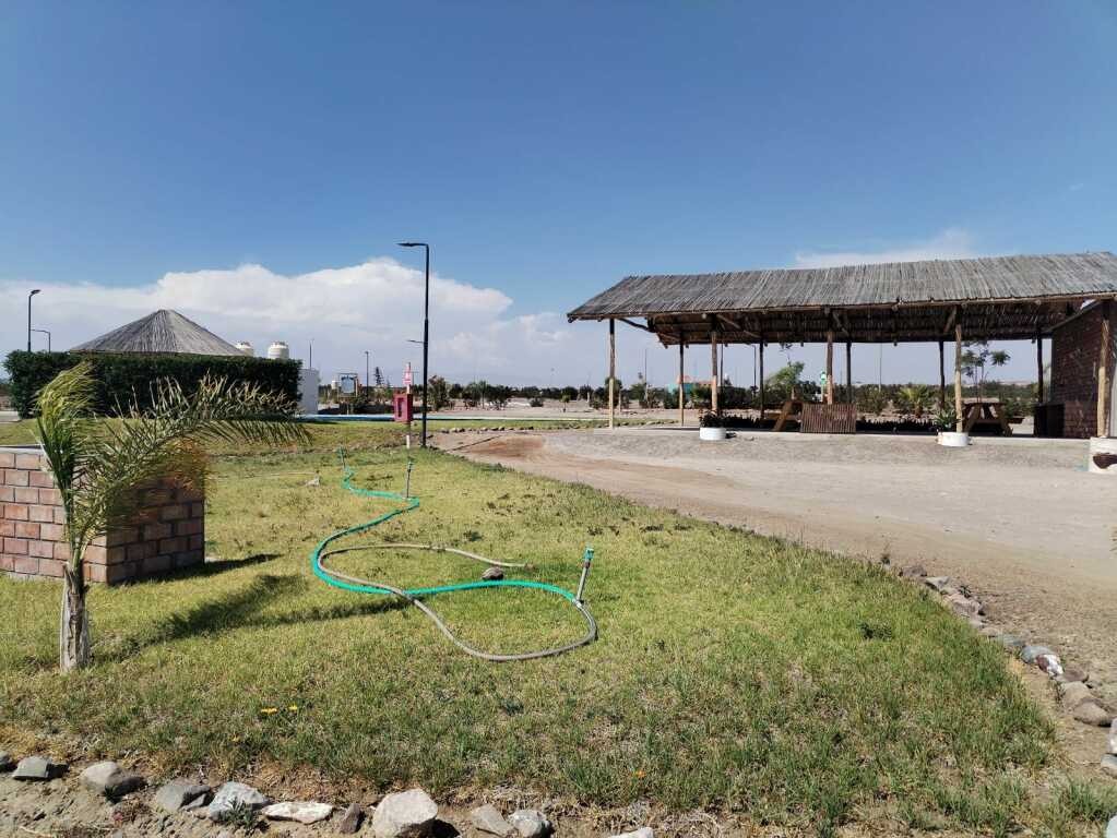 TERRENO EN LA JOYA-AREQUIPA